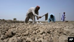 เกษตรกรในปากีสถานตระเตรียมที่นาสำหรับปลูกข้าว (ที่มา: แฟ้มภาพ/เอพี)