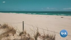 Pandemic Leaves Acres of Florida Fruit, Veggies Rotting