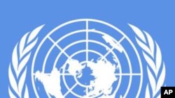 ONU: Brasil deve provar merecer lugar permanente no Conselho de Segurança