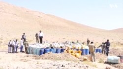 ده‌ها تن مواد مخدر در هرات به آتش کشیده شد