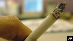 Rokok masih menewaskan sekitar 443.000 orang Amerika setiap tahun dan merupakan penyebab utama kanker paru-paru, stroke dan penyakit jantung.