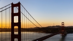 Quiz - The Golden Gate Bridge: San Fransisco's Historic Suspension Bridge