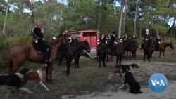 Debate over Hunting in France Points to Changing Culture and Identity