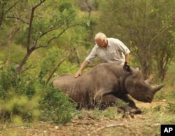 Dr. Flamand assists with the release of a black rhino on land in KwaZulu-Natal, South Africa