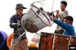 FILE - Migrant fishermen from Myanmar unload fish at a jetty in Samut Sakhon province, Thailand, March 11, 2016.