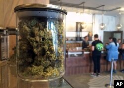 FILE - Customers buy products at the Harvest Medical Marijuana Dispensary in San Francisco, April 20, 2016. On Tuesday, the state's voters will decide whether to legalize the drug's recreational use.