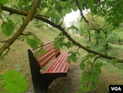 پارک لویزان