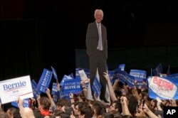 FILE - Supporters display a cardboard cutout of Democratic presidential candidate, Sen. Bernie Sanders, I-Vt., at a campaign rally in Miami, Florida, March 8, 2016.