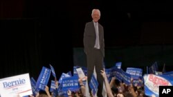 Para pendukung Bernie Sanders membawa patung karton senator itu dalam sebuah kampanye.