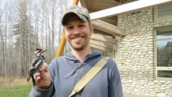 University of Michigan biologist Brian Weeks, lead author of a new study on avian responses to climate warming. Image credit: Brian Weeks.