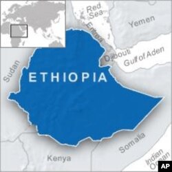 Swedish Journalists Plead Not Guilty to Ethiopian Terrorism Charge
