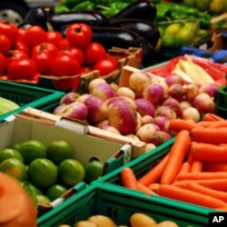 Development experts are concerned budget cuts could affect administration initiatives to curb global hunger and promote good health