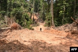Deforestasi yang terjadi di hutan Amazon. (Foto: AFP)