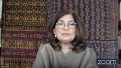 Ekonom Institute for Development of Economics and Finance (Indef), Aviliani, dalam tangkapan layar.