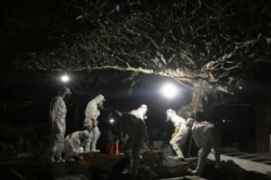 Tim pemakaman SAR DIY memakamkan jenazah pasien COVID-19, Selasa 20 Juli 2021. (Foto: TRC BPBD DIY)