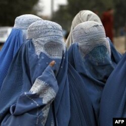 Hukumatdan yordam so'rayotgan ayollar