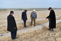 O'zbekiston dalalarida