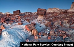 The Jasper Forest section of the park