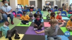 Bog’chalar bepul bo’lishi kerakmi?