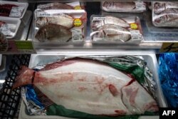 Makanan laut dari Prefektur Fukushima terlihat di Pasar Ikan dan Pujasera Hamanoeki, di Kota Soma, Prefektur Fukushima pada 31 Agustus 2023. (Foto: AFP)