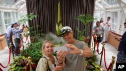 ผู้คนในซิดนีย์ยอมเข้าแถวชม "ดอกซากศพ" ที่บานเป็นครั้งแรกในรอบ 15 ปี ในวันที่ 23 ม.ค. 2568