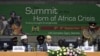 Bencana Kelaparan di Tanduk Afrika Dapat Bahayakan Keamanan