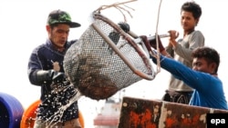 FILE - Fishermen unload fish at a jetty in Samut Sakhon province, Thailand, March 11, 2016. In a study published Jan. 9, 2018, scientists warn that increases in global temperatures could devastate the marine food web and lead to "serious implications" for fish stocks. 