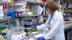 Researchers Optimistic About Future of Cancer Treatment