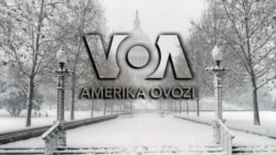 Amerika Manzaralari: Otishmalar va Kongress, elektromobil bozori, palov