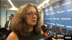 کرستین فیئر، استاد پوهنتون جورج تاون 