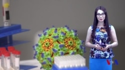 Miya saratoniga shifo izlab