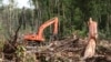 Sebuah ekskavator terlihat di hutan yang hancur di kawasan lahan gambut di Kabupaten Kuala Tripa di Nagan Raya, Aceh. (Foto: REUTERS/Roni Bintang)