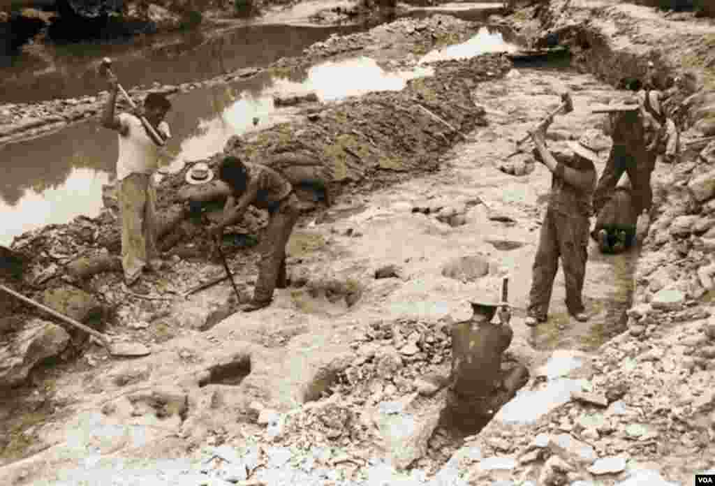 Workers in the trenches on Roland T. Bird&rsquo;s massive excavation in 1940. (R.T. Bird from the Collections of the Vertebrate Paleontology Laboratory, The University of Texas at Austin)