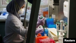 Seorang petugas laboratorium sedang menyiapkan medium untuk menumbuhkan virus di laboratorium Lembaga Biologi Molekuler Eijkman di Jakarta, 31 Agustus 2016. (Foto: Reuters). 