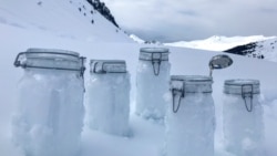 Quiz - Scientists Find High Levels of Plastics in Arctic Snow