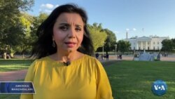 Amerika Manzaralari: Afg'onlar, Guantanamo, Dushanbe choyxonasi