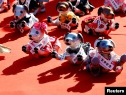 Owners of Sony's robotic dog 'Aibo' attend a ritual ceremony Sichi-Go-San, which is usually held for praying for children's health and wellbeing, in Tokyo