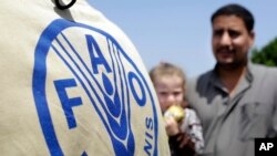 D'après la FAO, la Syrie, l'Irak, le Yémen, le Soudan et la Libye sont menacés de famine.
