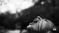 اکران: فیلم کوتاه «مثل پائیز» و پروفورمنس «ضحاک ماردوش»