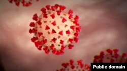 ڤایرۆسی کۆرۆنا