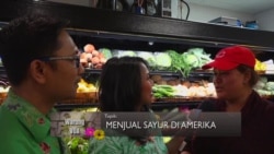 Musim Semi di Washington DC (3)