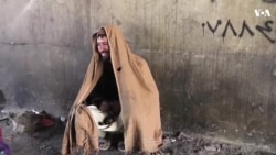 روزالدین: فکر مې نه کاوه چې داسې به معتاد کیږم