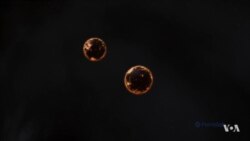 Scientists Discover Two Neutron Stars Colliding