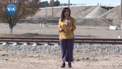 Termizdagi afg'onlar: Chegara va bozor