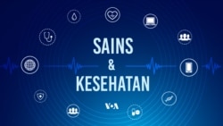 Gerakan untuk Giatkan Daur Ulang Perangkat Elektronik di Rusia