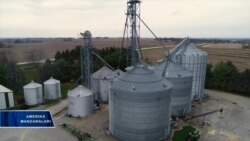 AQSh-Xitoy: fermerlar savdo urushidan norozi