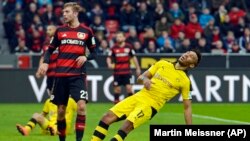 Pierre-Emerick Aubameyang de Dortmund tombe lors du match de football de la Bundesliga allemande entre le Bayer Leverkusen et le Borussia Dortmund à Leverkusen, Allemagne, 21 février 2016. 