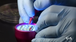 Paintable Solar Cells May Someday Replace Silicon-Based Panels