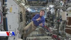 Qariyb 700 kunini samoda o'tkazgan ayol