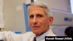 Dokter Anthony Fauci, Direktur National Institutes of Allergy and Infectious Diseases (foto: dok).